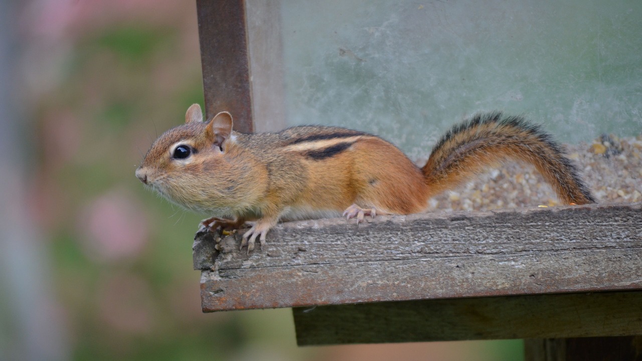 Photo of Outdoor in Kinnear's Mills