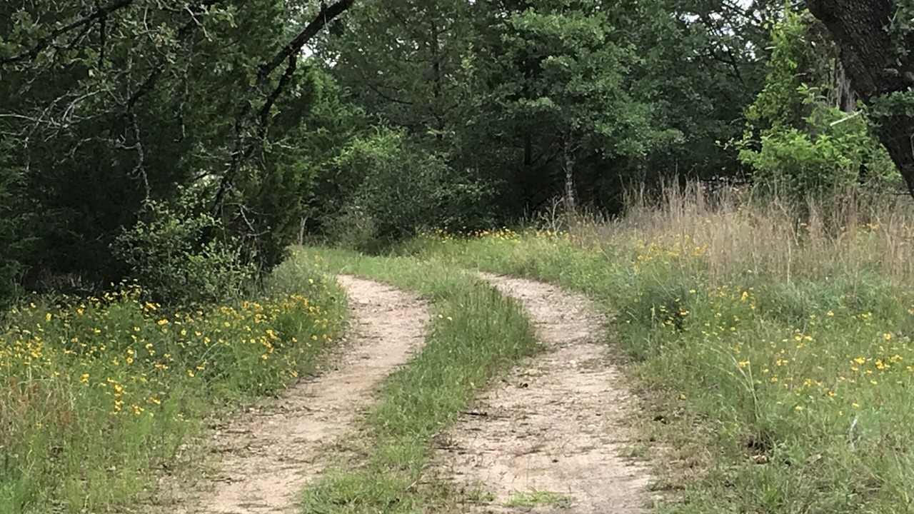 Photo of Outdoor in La Grange