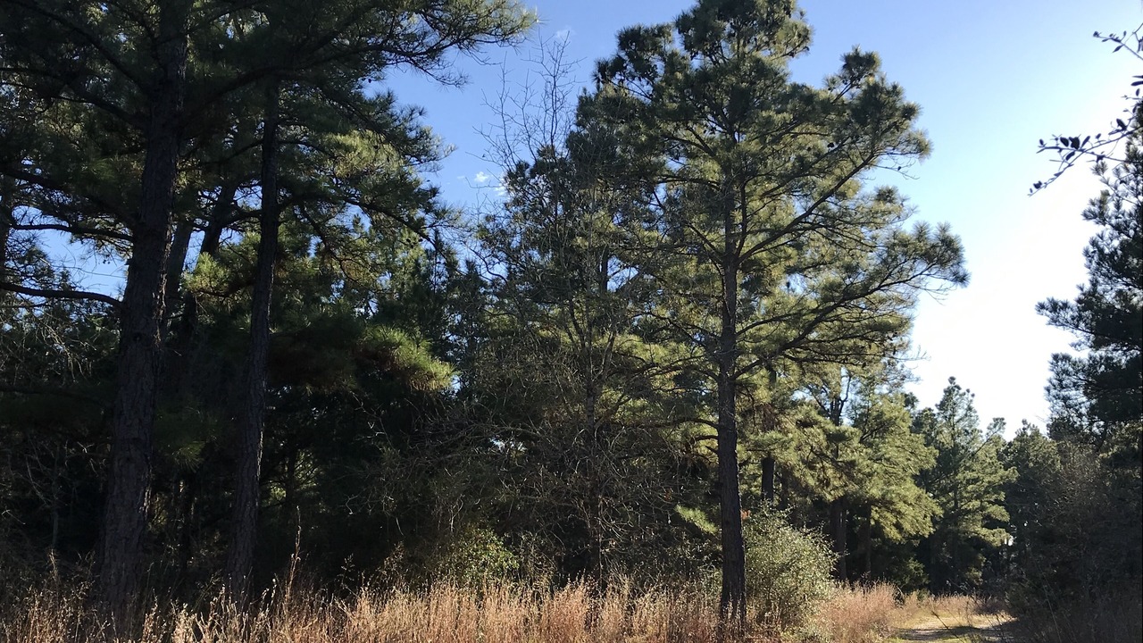 Photo of Outdoor in La Grange