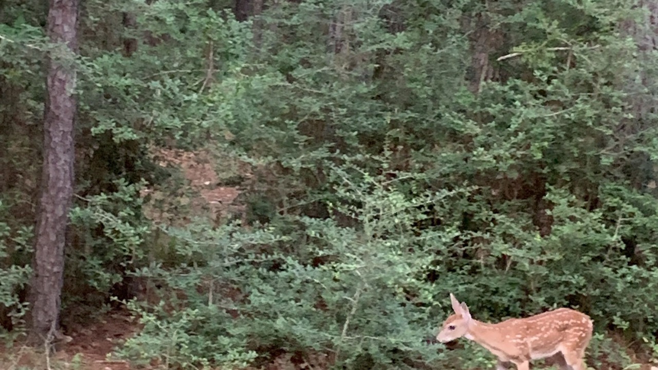 Photo of Outdoor in La Grange
