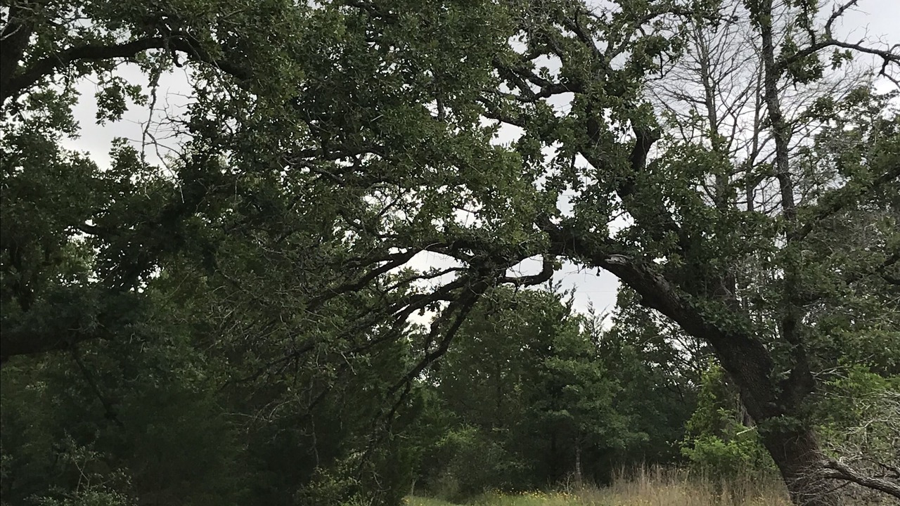 Photo of Outdoor in La Grange
