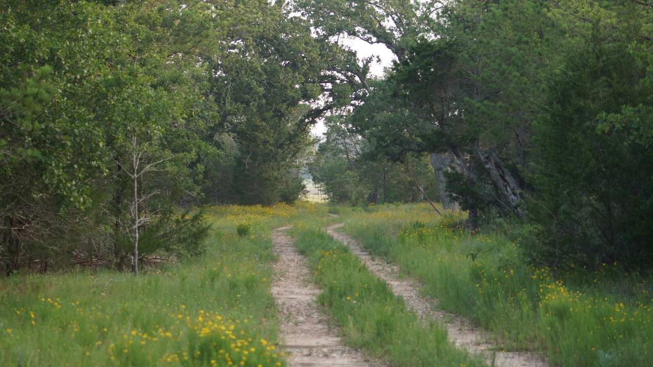 Photo of Outdoor in La Grange