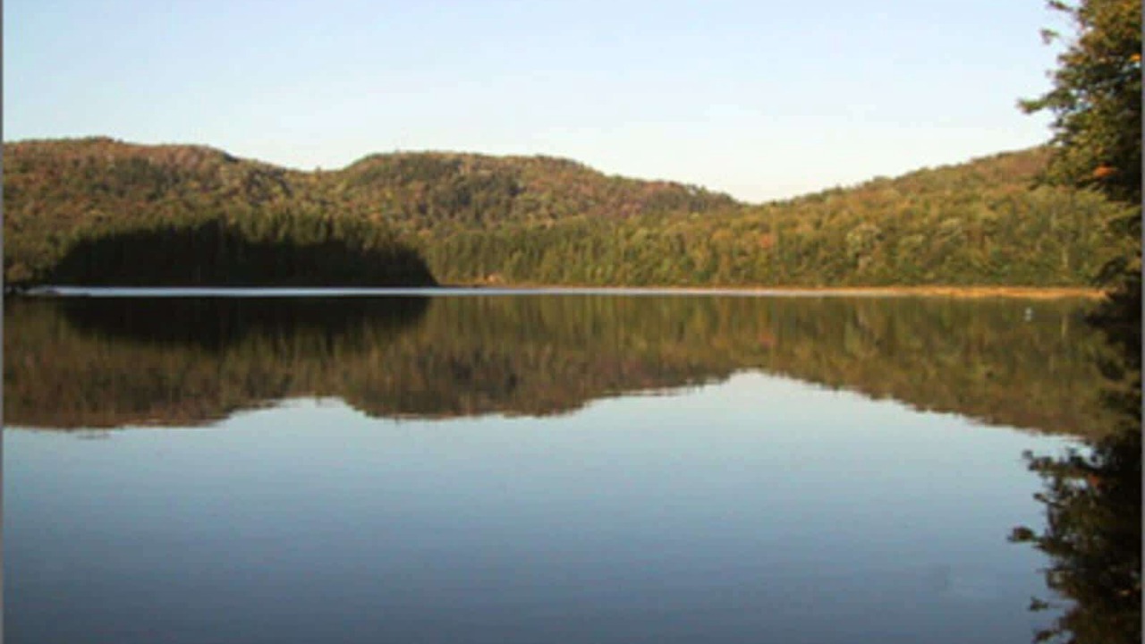 Photo of Others in Mauricie