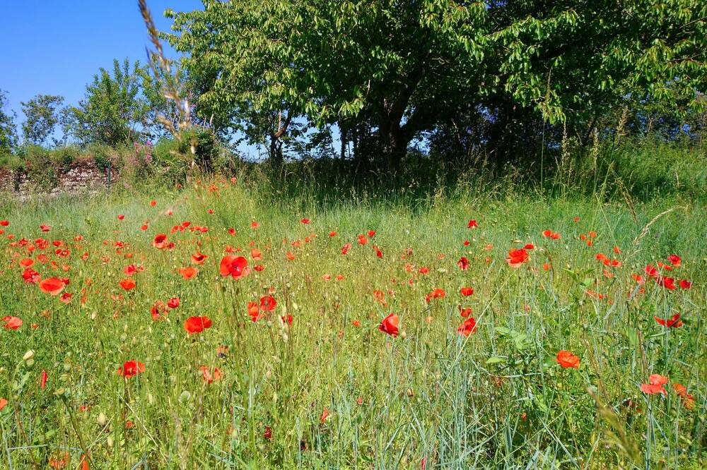 Photo of Outdoor in Vouvray