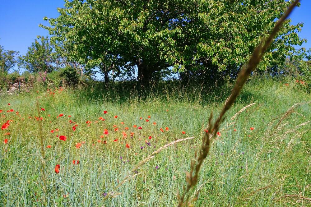 Photo of Outdoor in Vouvray