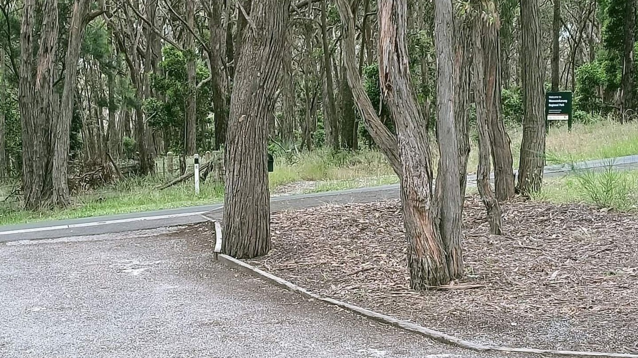 Photo of Outdoor in Mount Helen