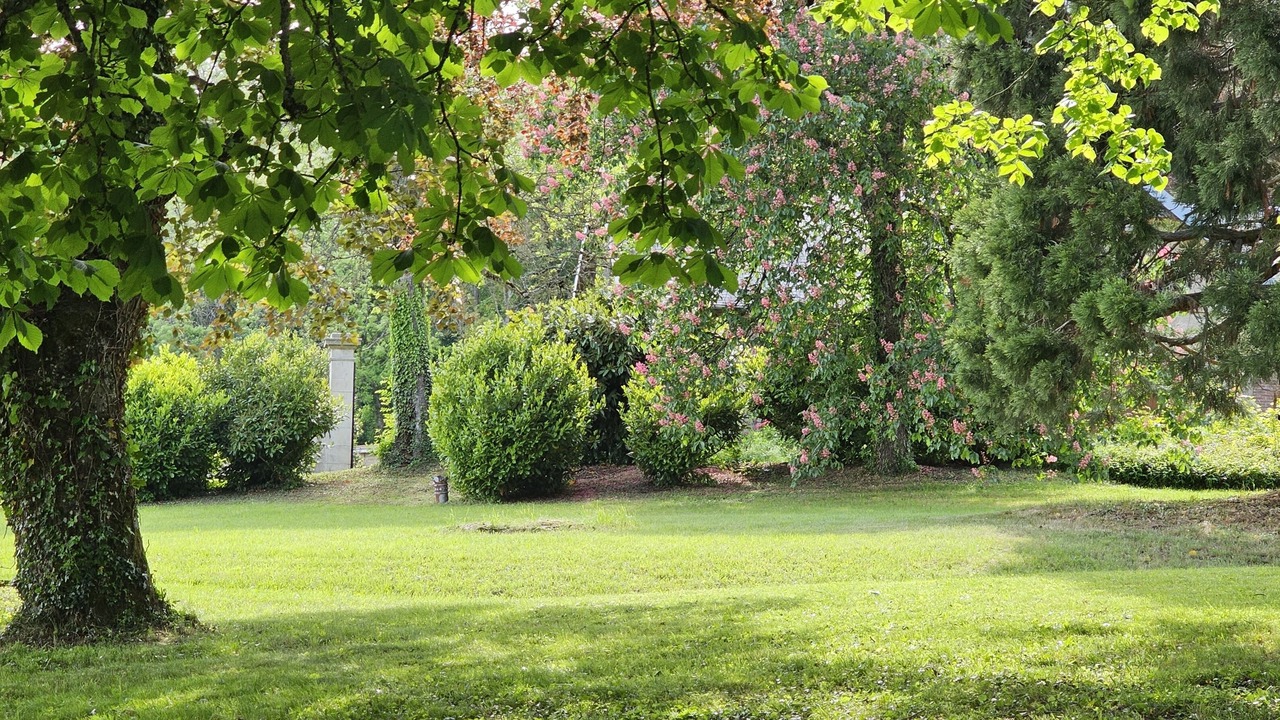 Photo of Outdoor in Couches