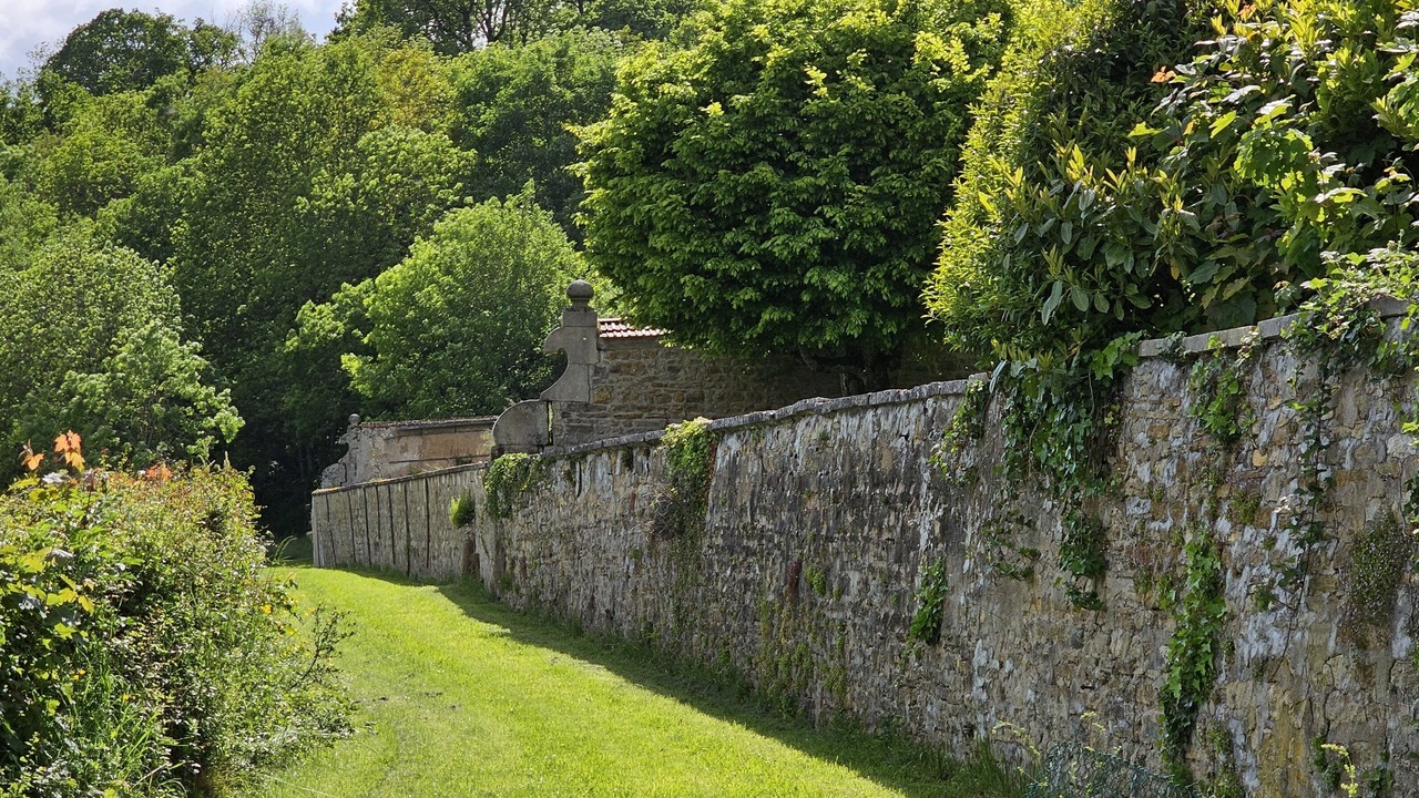 Photo of Outdoor in Couches
