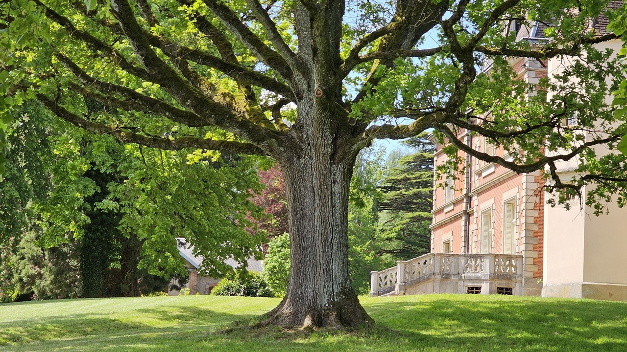 Photo of Others in Couches