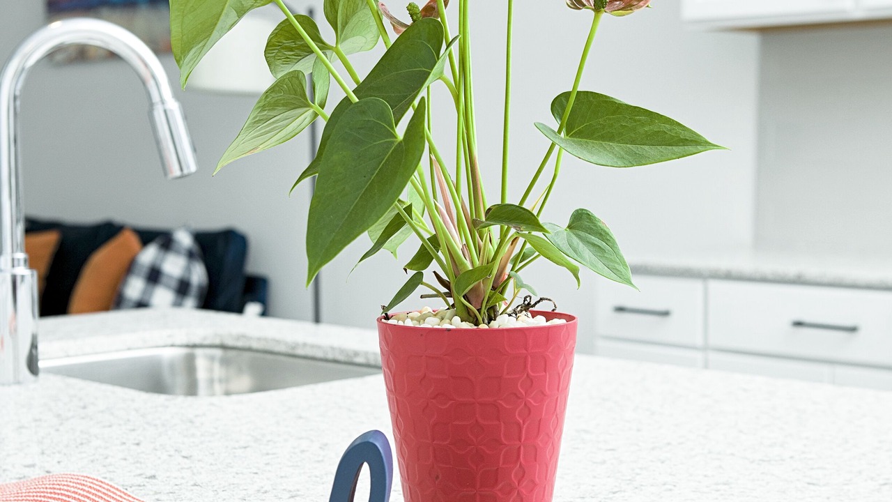 Photo of Others in Lombard