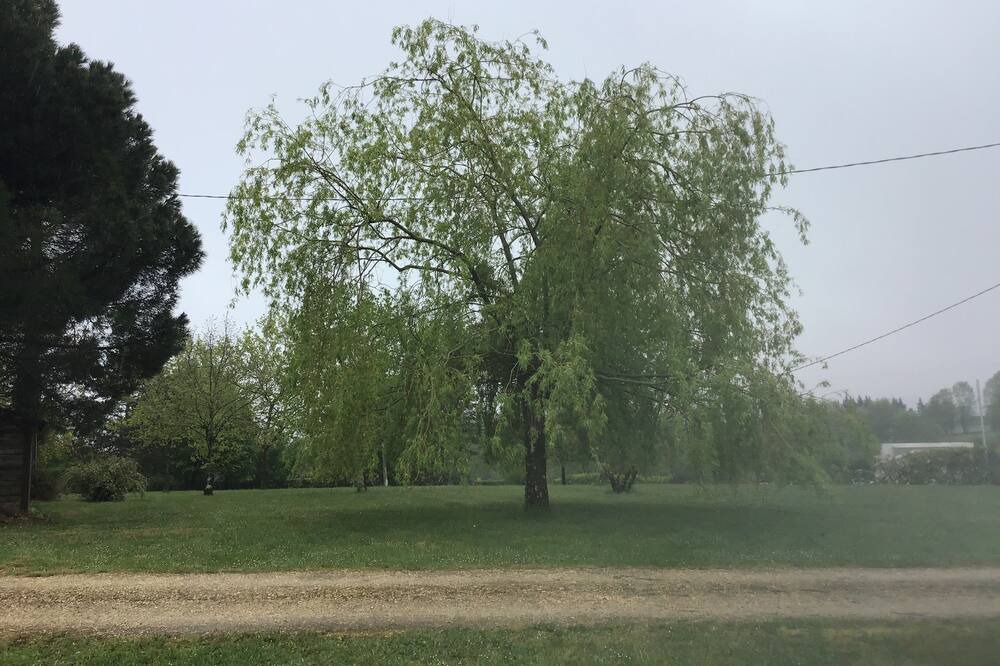 Photo of Outdoor in Montayral