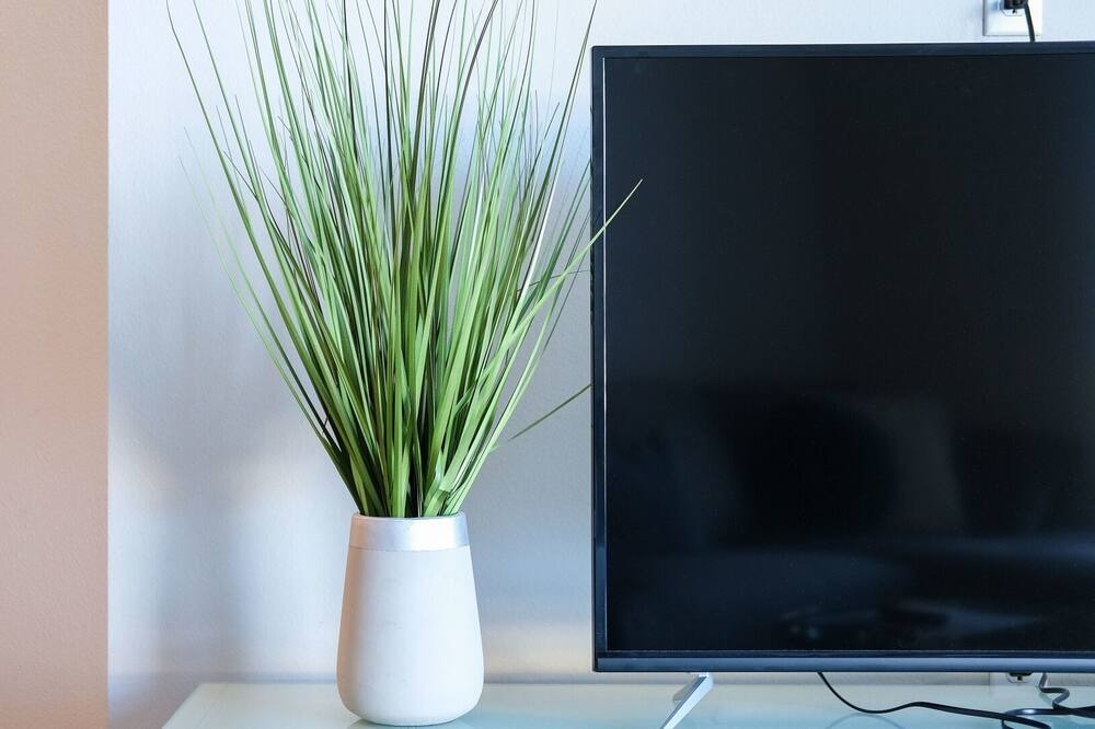 Photo of Others in Hercules