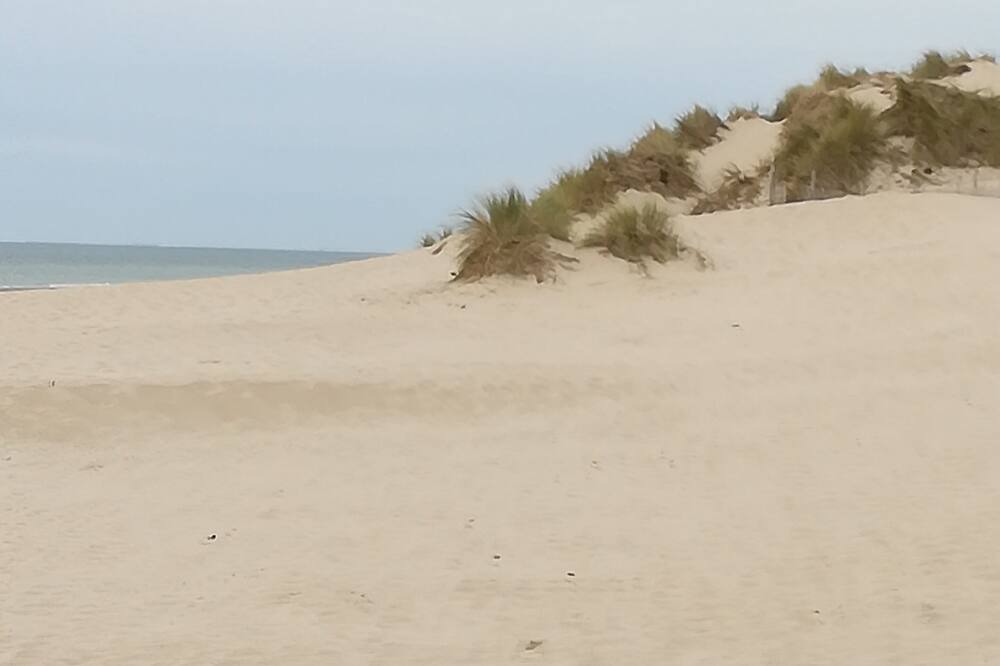 Photo of Others in Berck-sur-Mer