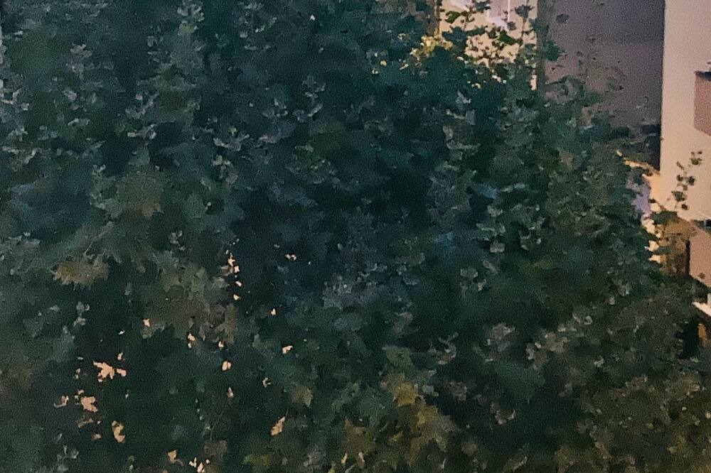 Photo of Outdoor in Matthaus