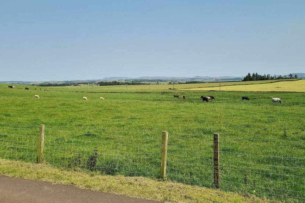 Photo of Outdoor in Carluke