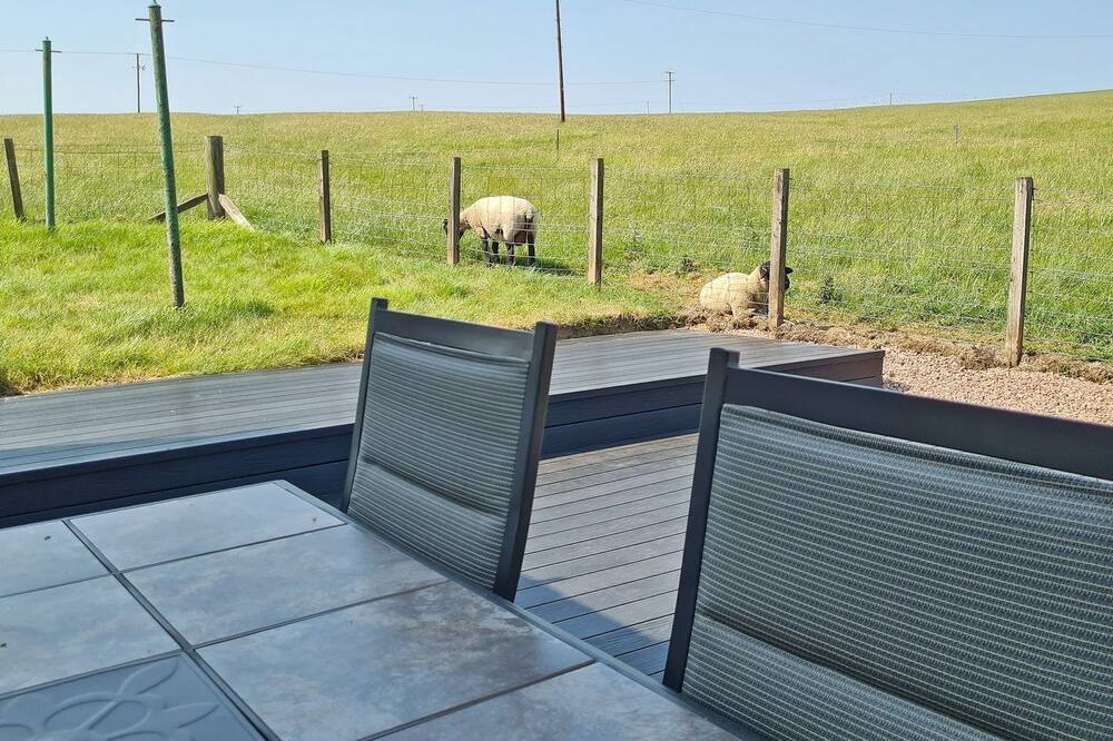 Photo of Others in Carluke