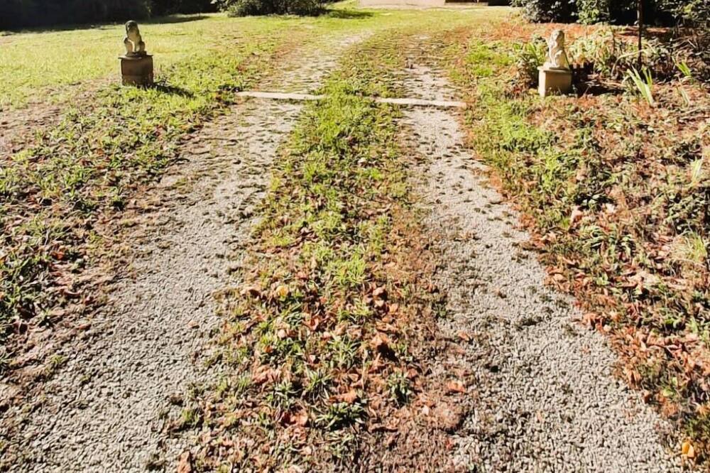 Photo of Outdoor in Saint-Avaugourd-des-Landes