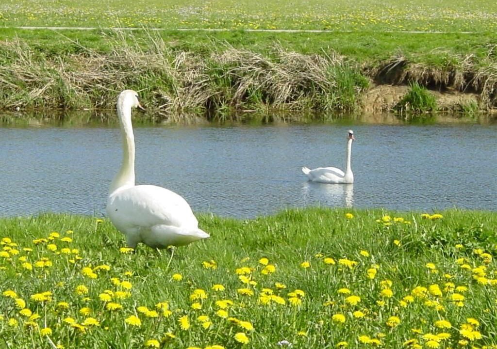 Photo of Outdoor in Morteau