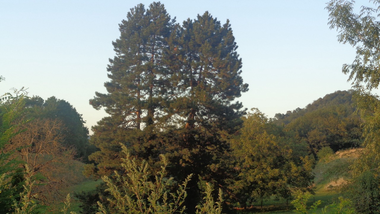 Photo of Outdoor in Saint-Genix-sur-Guiers