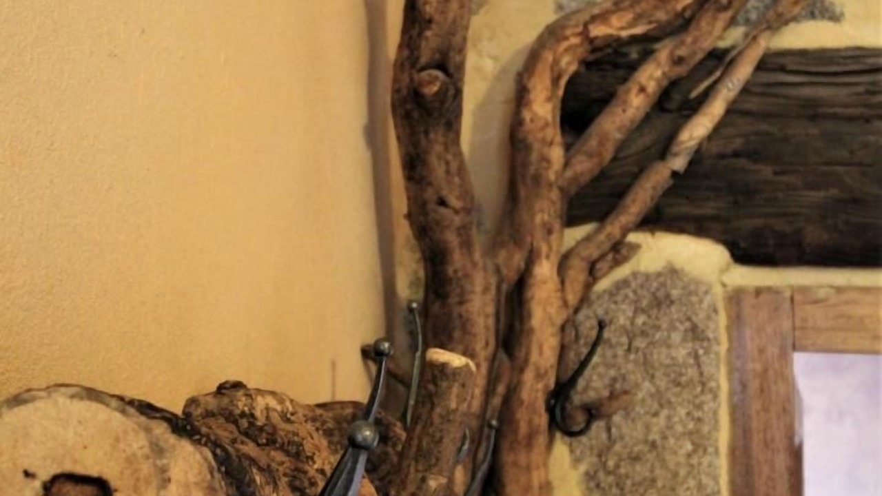 Photo of Others in Quinsonnas