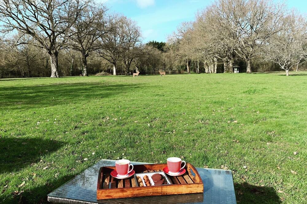 Photo of Outdoor in Nort-sur-Erdre