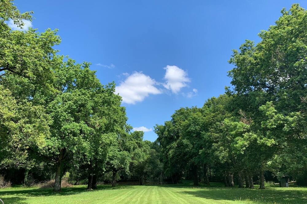 Photo of Outdoor in Nort-sur-Erdre