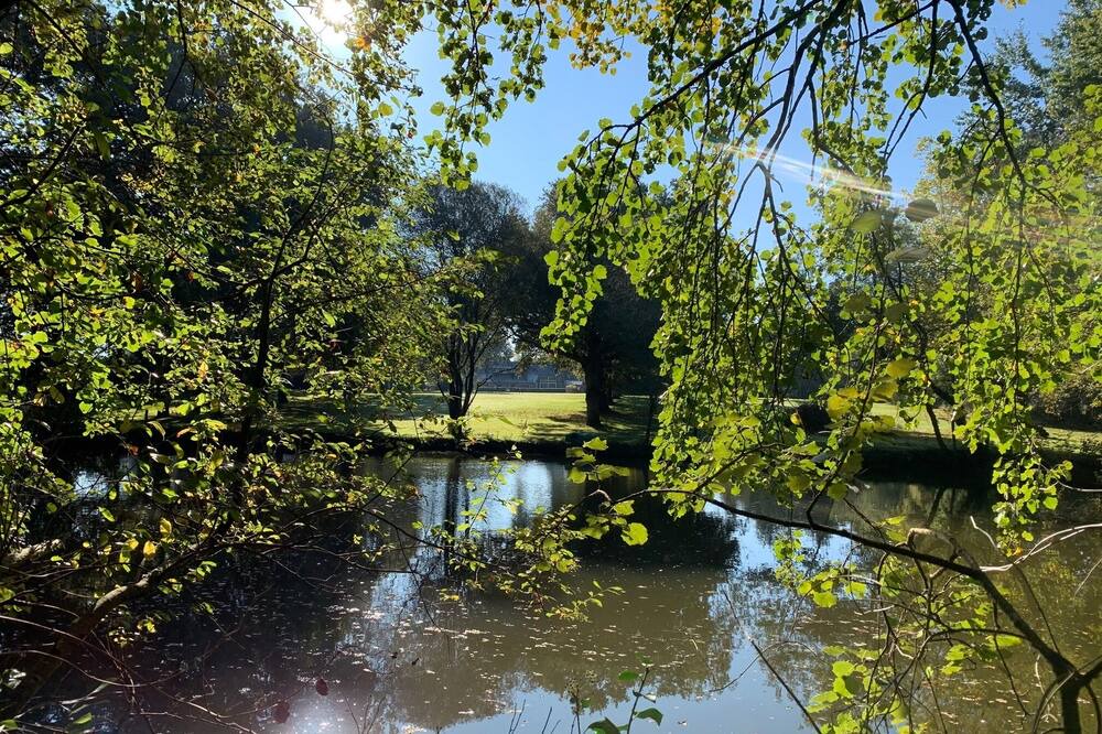Photo of Outdoor in Nort-sur-Erdre