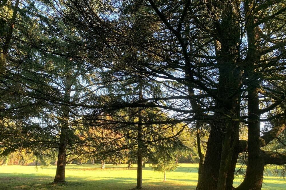 Photo of Outdoor in Nort-sur-Erdre