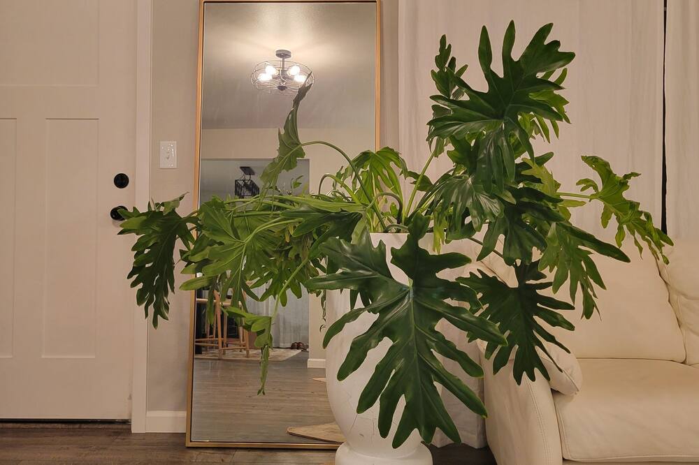 Photo of Others in Northwest Everett