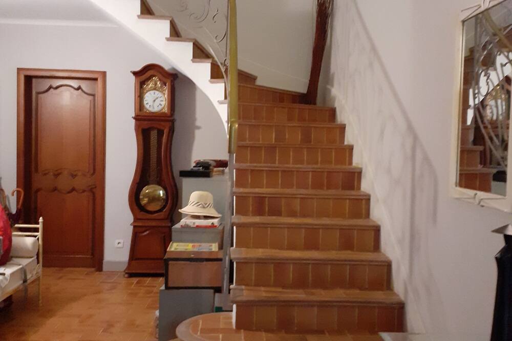 Photo of Others in Castries