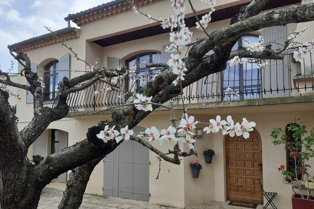 Photo of Outdoor in Castries