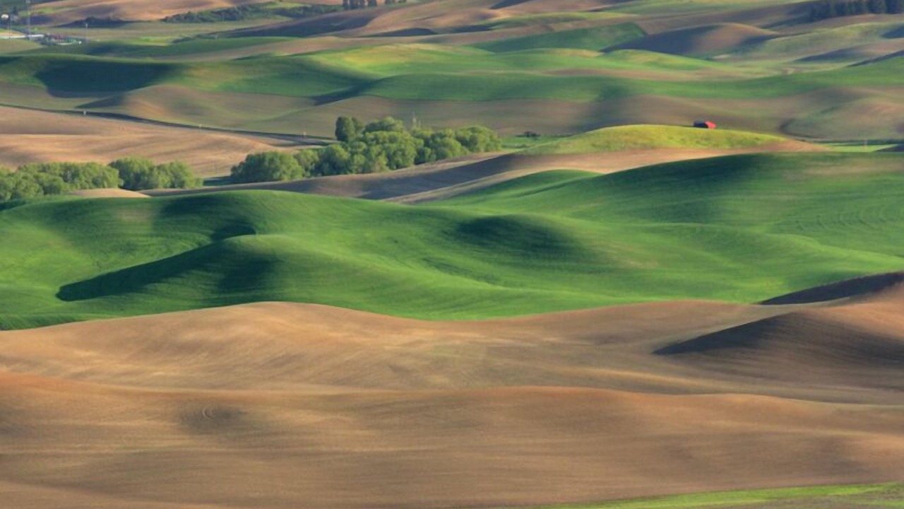 Photo of Others in Colfax