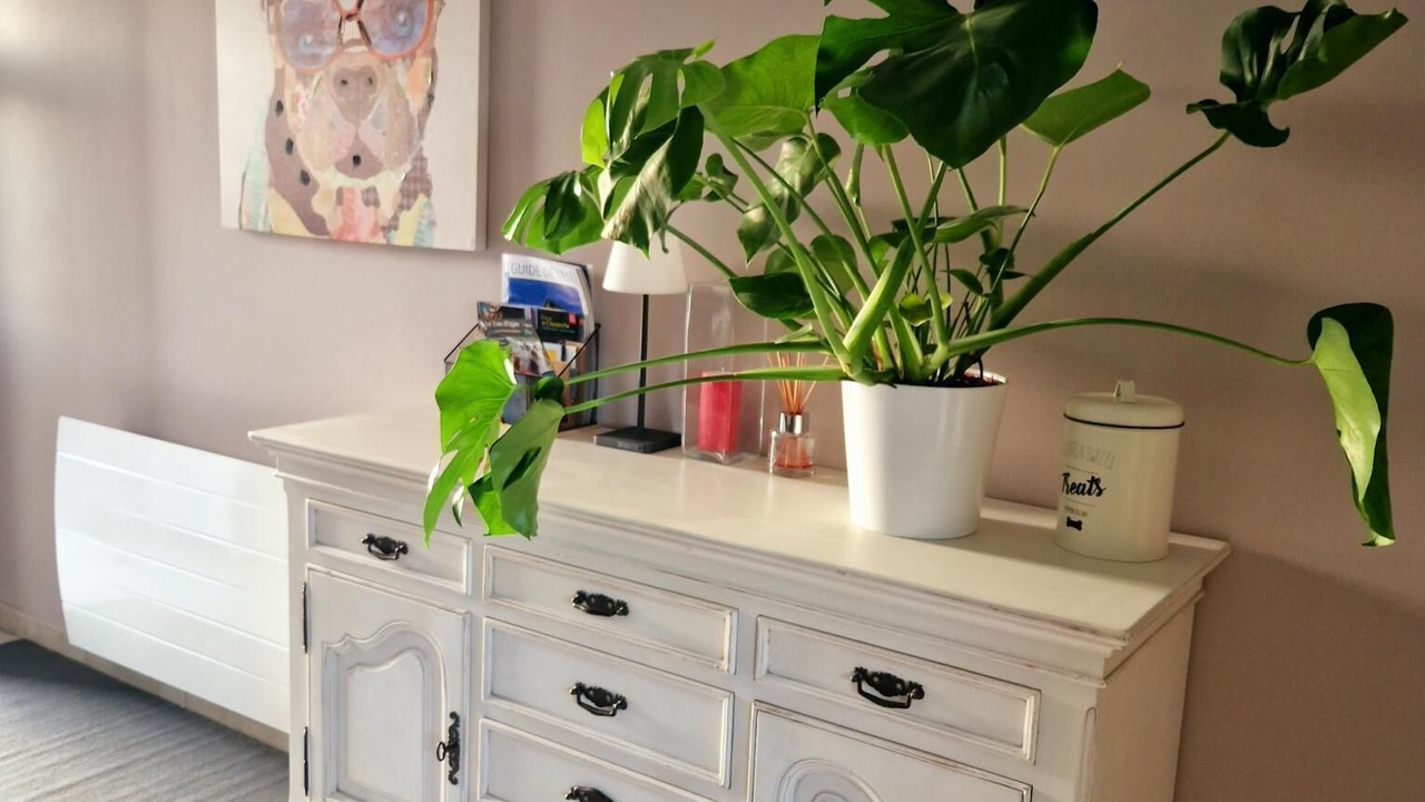 Photo of Others in Alixan