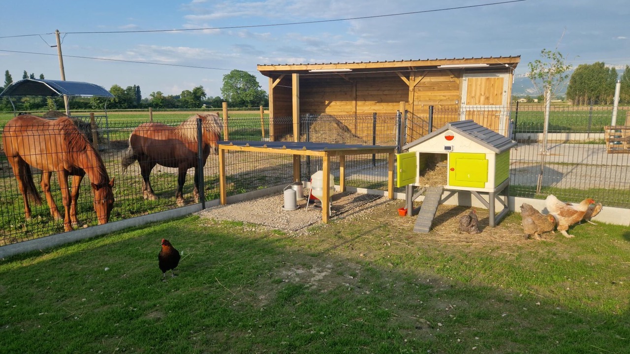 Photo of Outdoor in Alixan