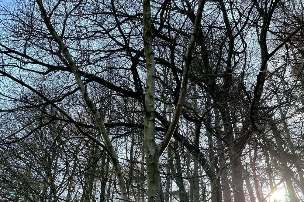 Photo of Outdoor in Sowerby Bridge