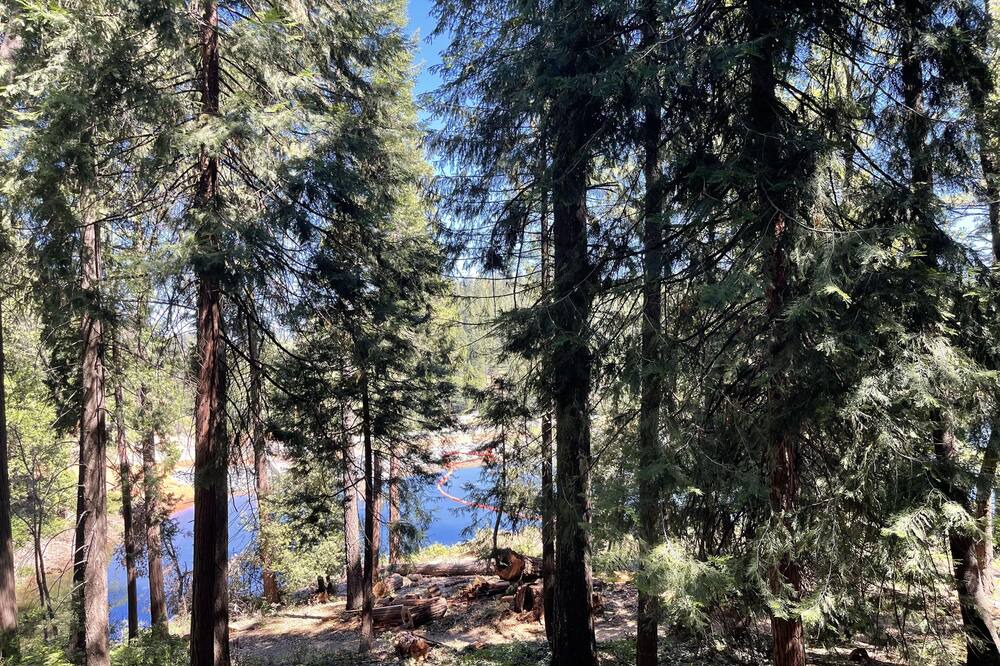 Photo of Others in Pollock Pines