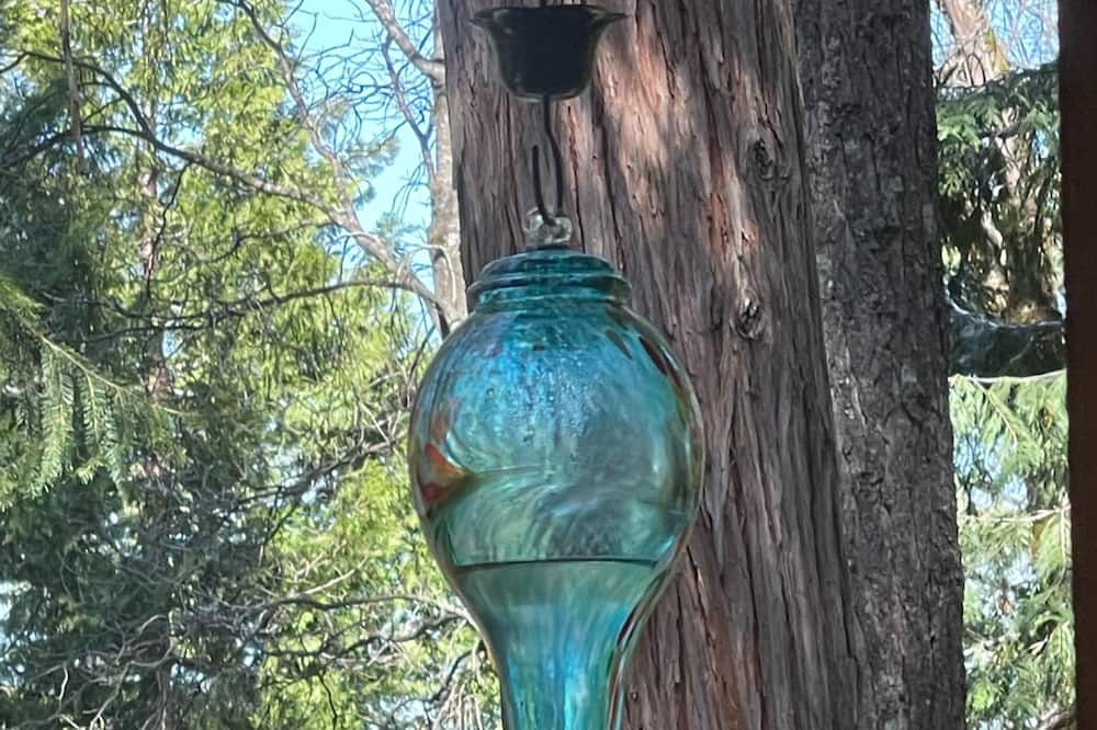 Photo of Outdoor in Pollock Pines