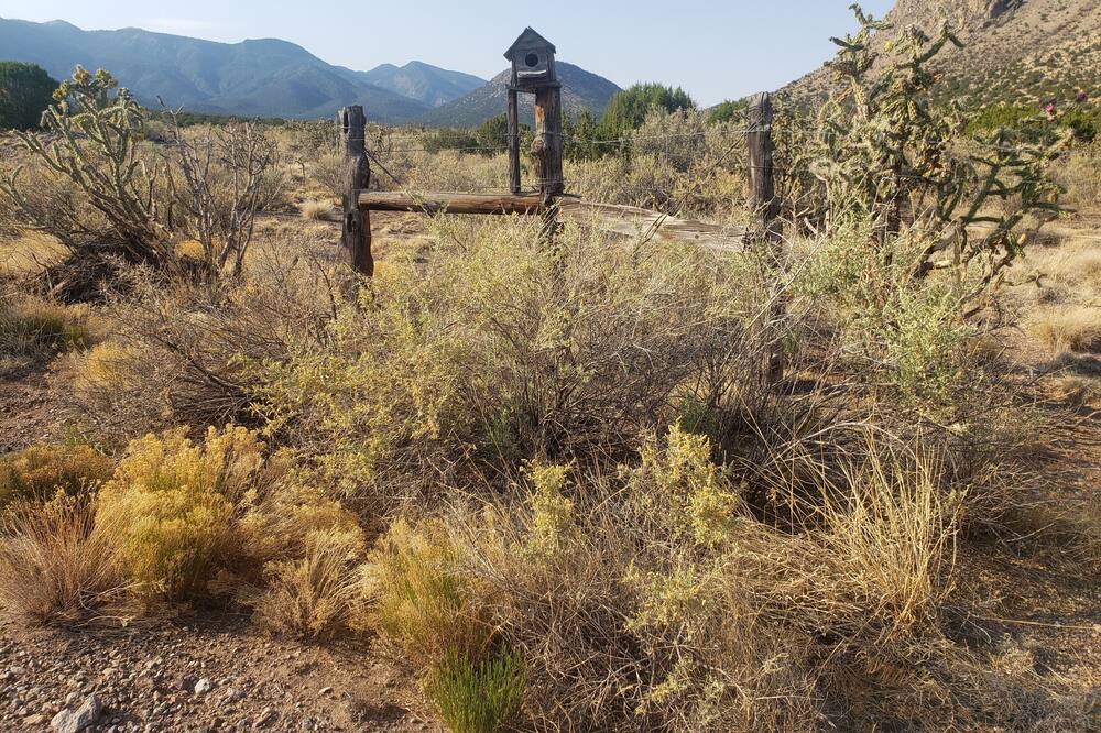 Photo of Outdoor in Magdalena