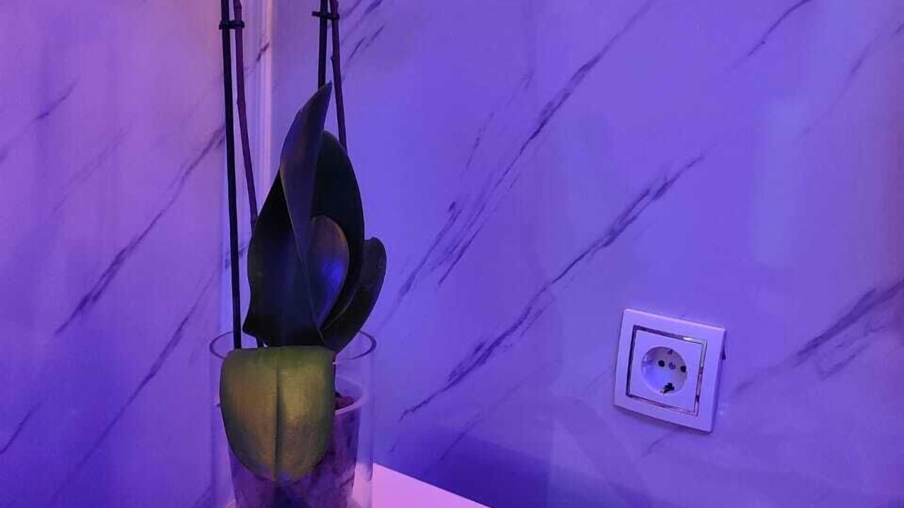 Photo of Bedroom in Manises