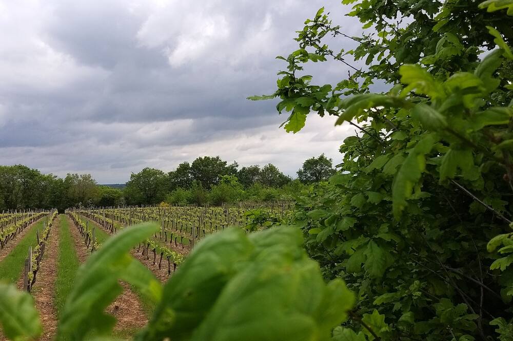 Photo of Outdoor in Rosnay