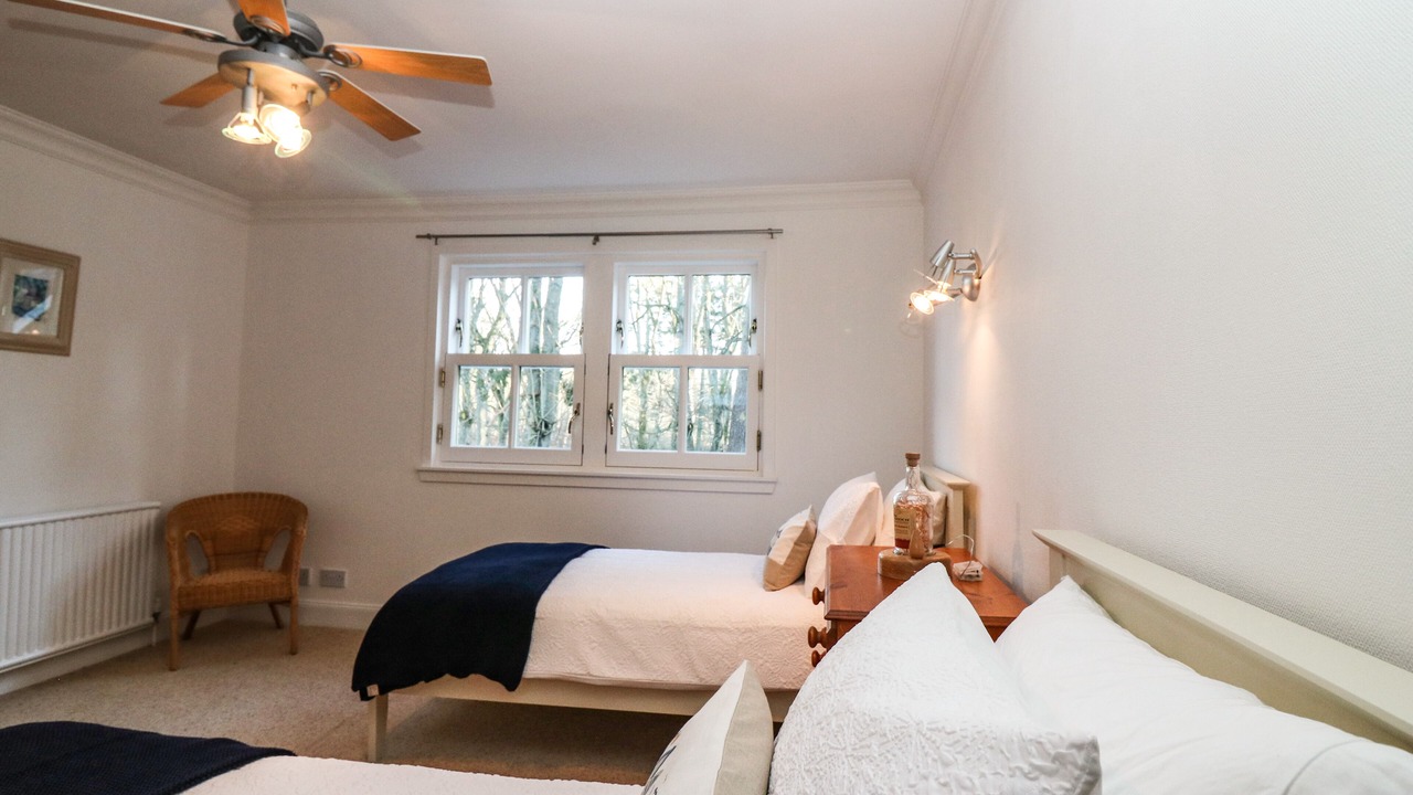 Photo of Others in Old Deer