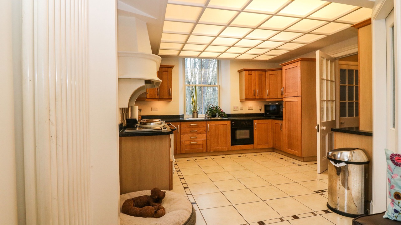 Photo of Others in Old Deer