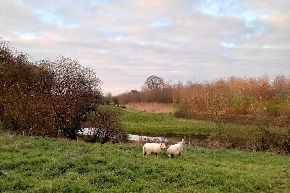 Photo of Outdoor in Couvains