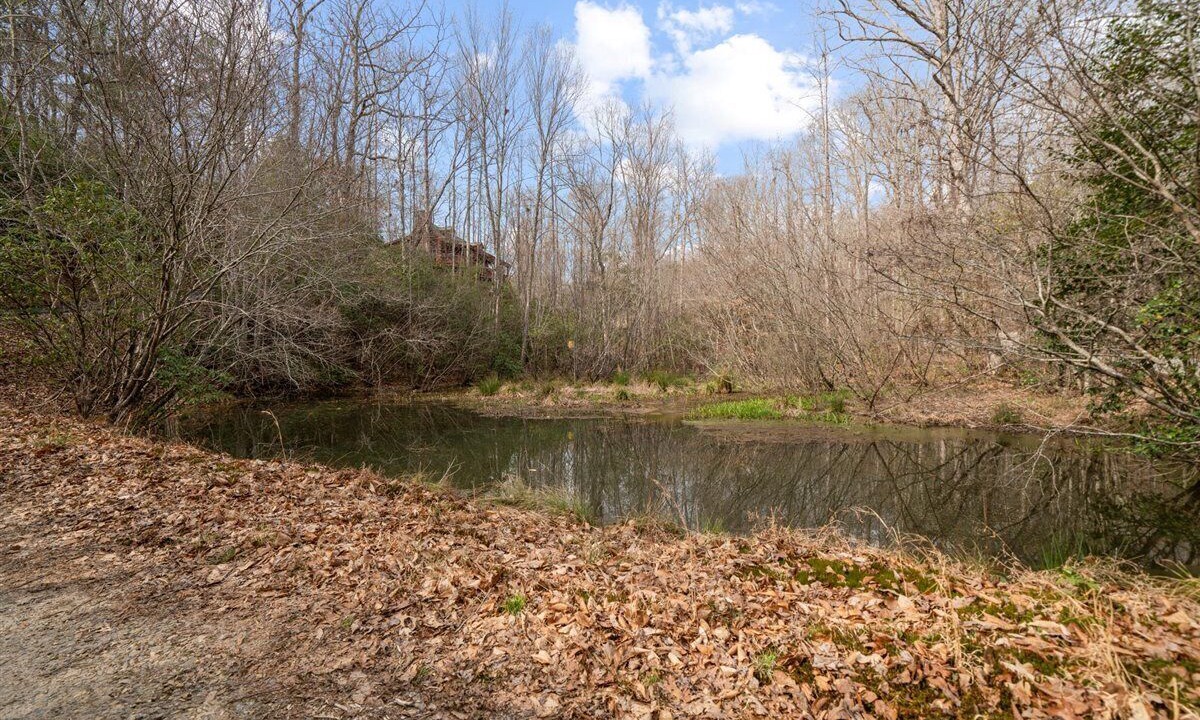 Photo of Outdoor in Blairsville