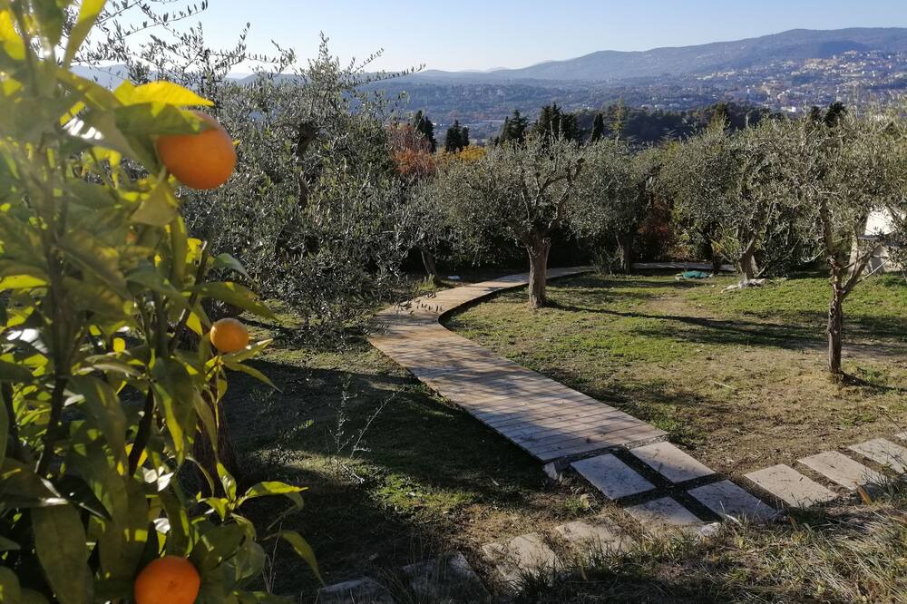 Photo of Outdoor in Plascassier