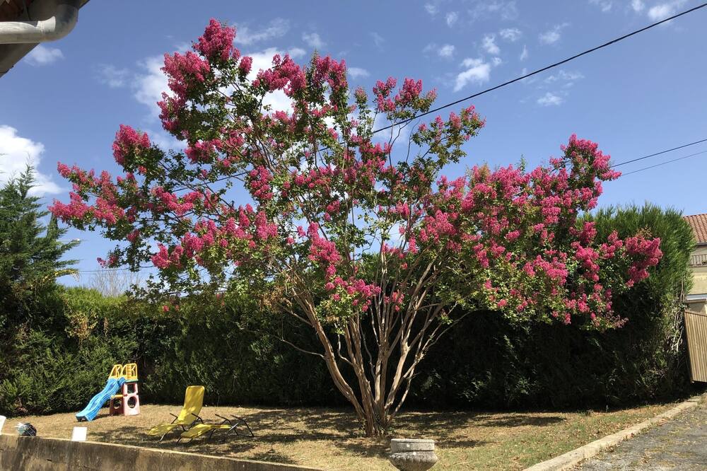 Photo of Outdoor in Pays-de-Belves