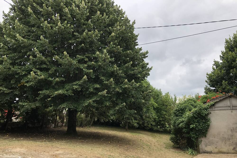 Photo of Outdoor in Pays-de-Belves