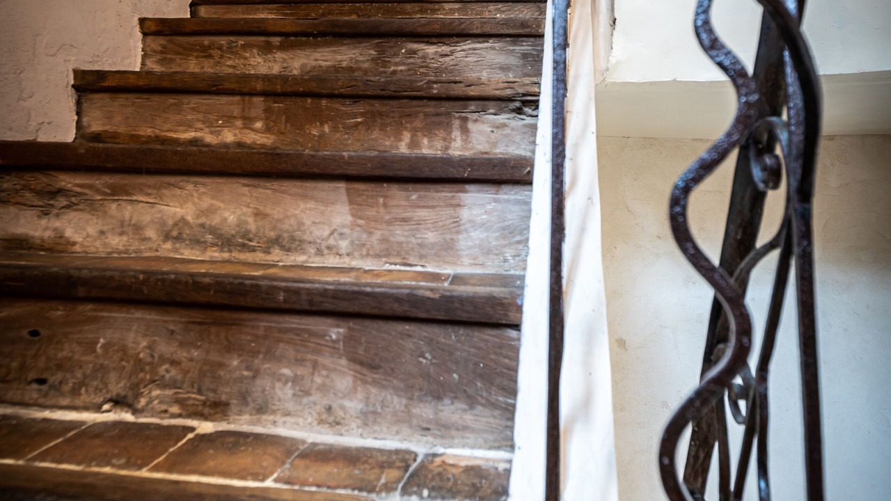 Photo of Others in Montluel