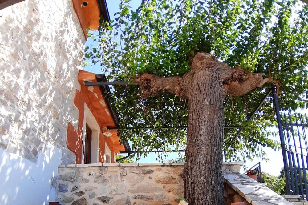 Photo of Outdoor in Ripenda Verbanci