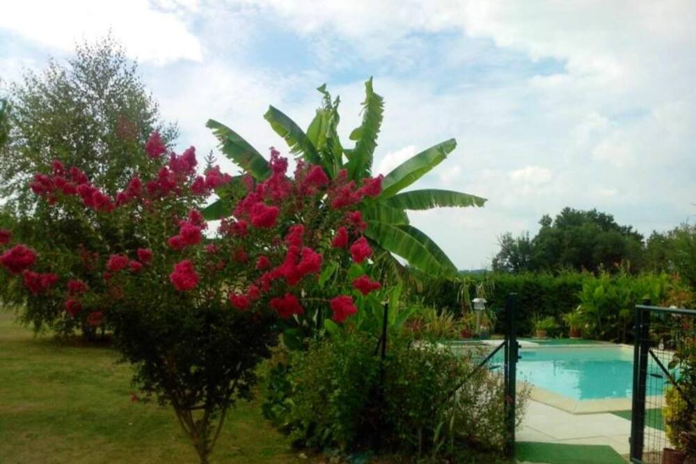 Photo of Outdoor in Lavergne